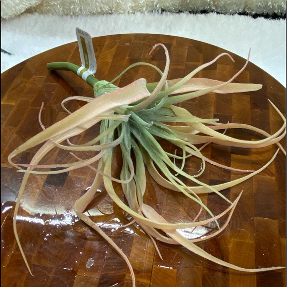 Lot of 4, Faux succulent florals, green and peach - Picture 6 of 7